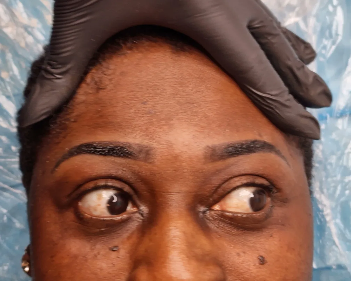 Shaped ombré powder brows after treatment