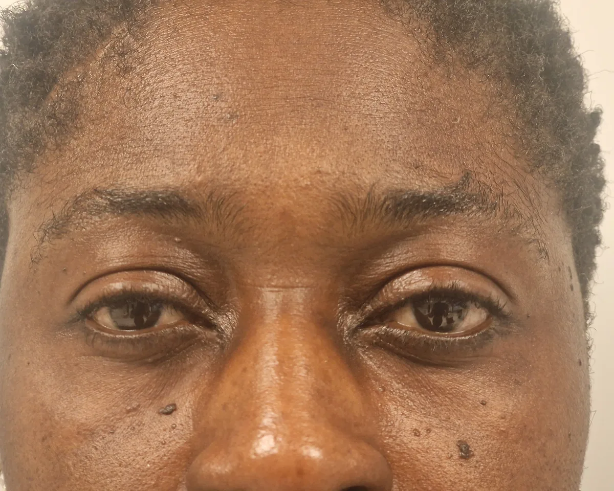Thin natural brows before ombré powder treatment